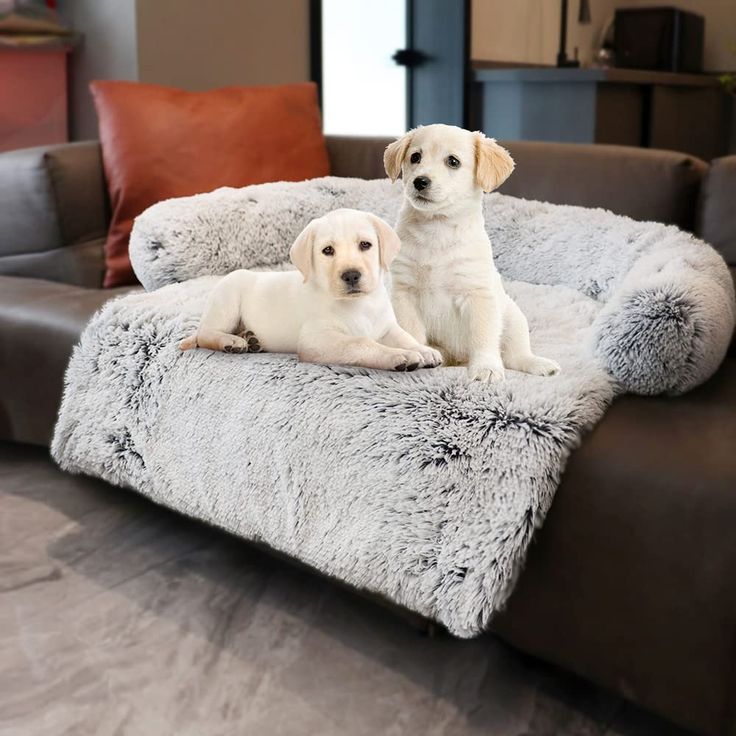 DOG SOFA-BED & MAT. PLUSH FAMILY DOG COUCH COVER