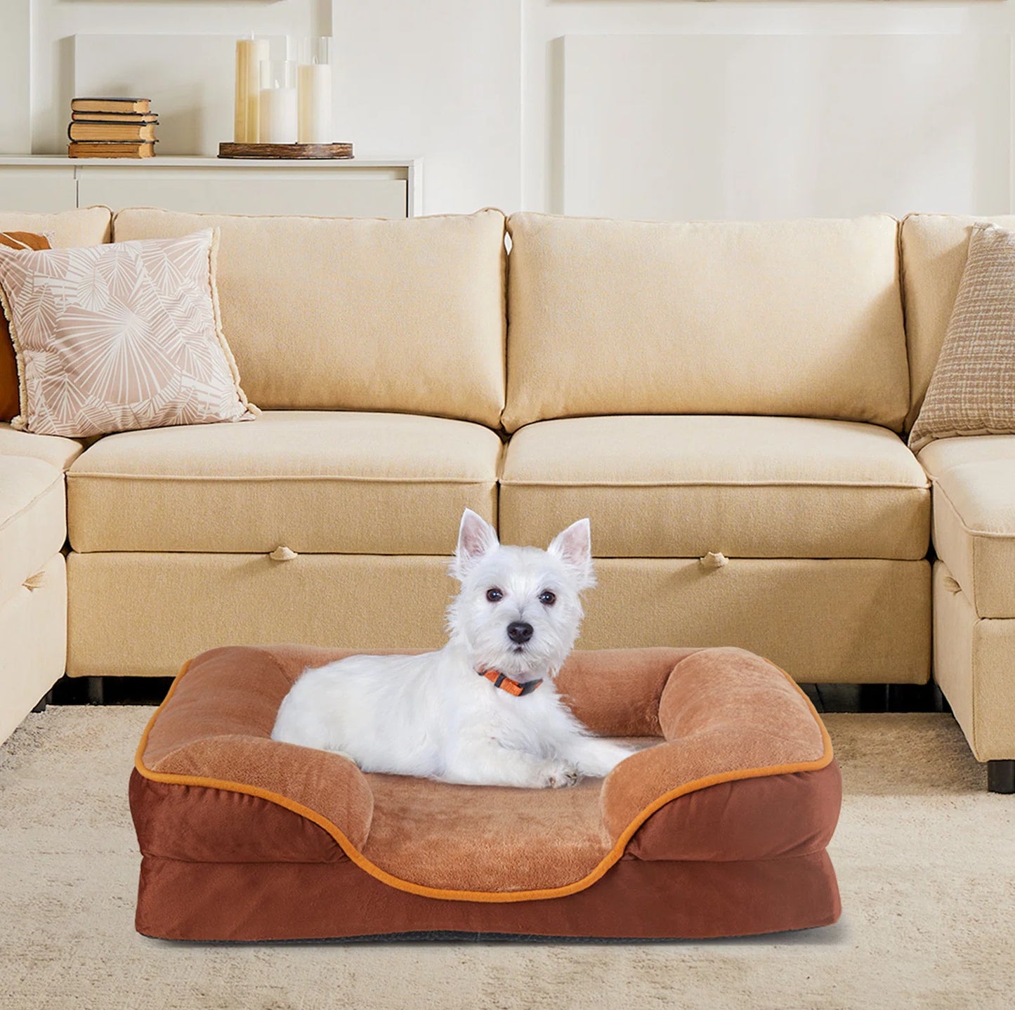 DOG BED FOR MEDIUM FAMILY PETS